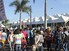 Festa Cerejeira - 30 anos