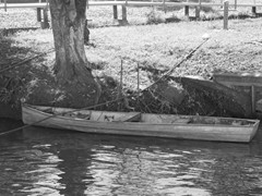 IMG_3857