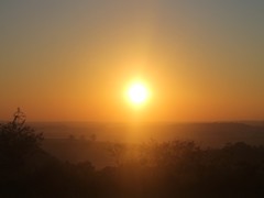 IMG_1337