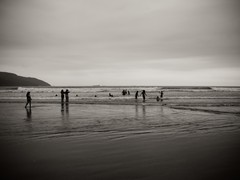 IMG_4848